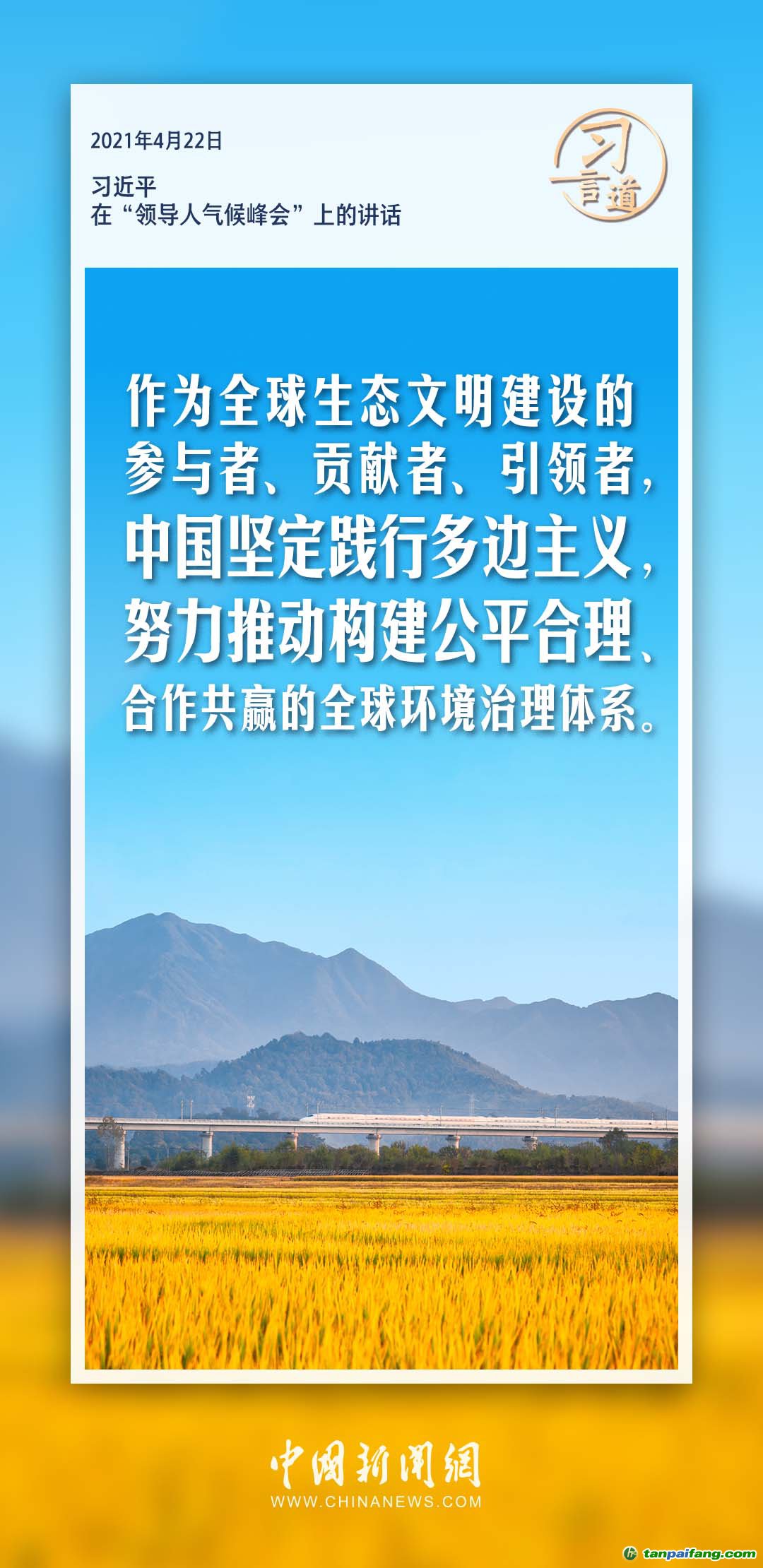 蝗虫最新灾难，一场全球性的生态挑战与应对策略