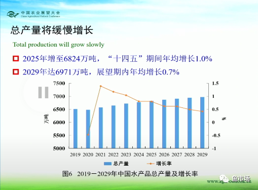 最新口罩批发，市场趋势、选择指南与未来展望