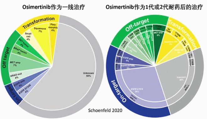 靶向最新治疗，精准医疗的未来