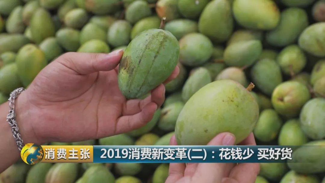 芒果最新动态，从产地到市场的全面解析