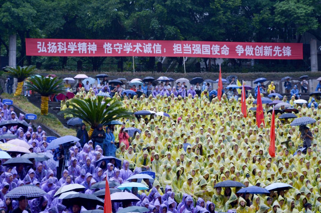 张芳炜最新动态，跨界融合与创新引领的学术探索