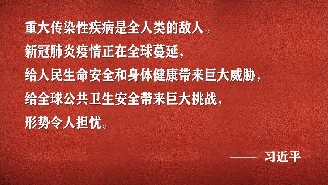 最新疫情公告，全球抗疫进展与挑战