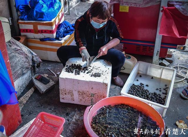 最新江夏疫情，防控措施与民生保障的双重挑战