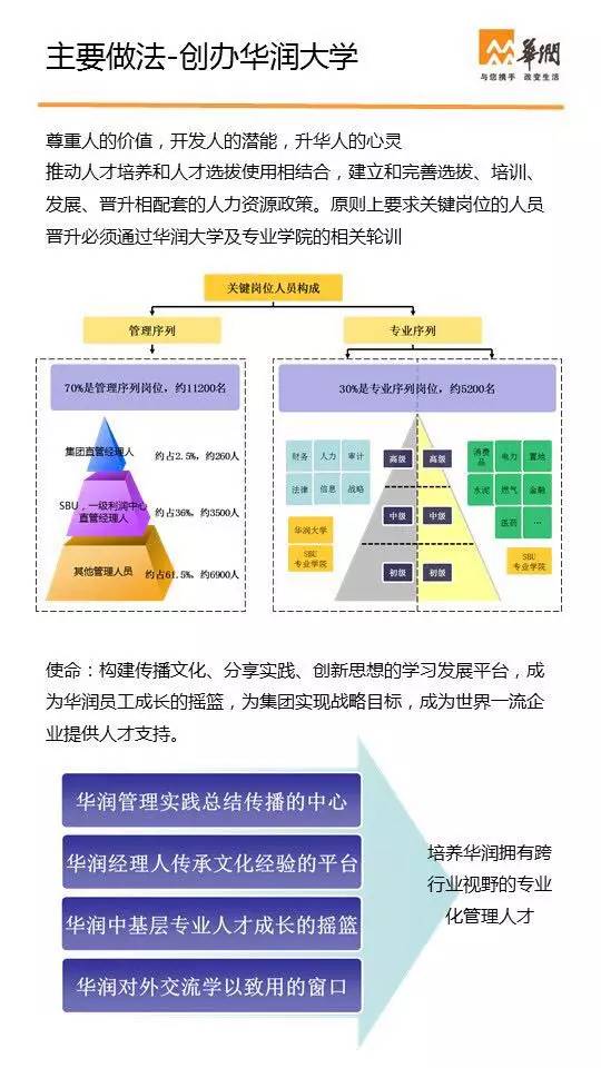 树模型最新进展，从理论到实践的深度探索